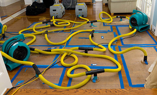 Professional Water Extraction technician working in Inverness, CO